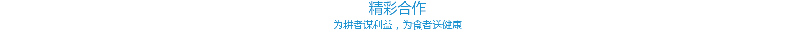 香港六家宝典资料大全