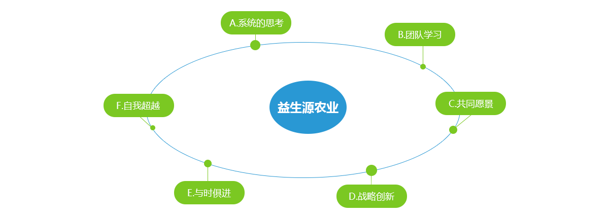 香港六家宝典资料大全